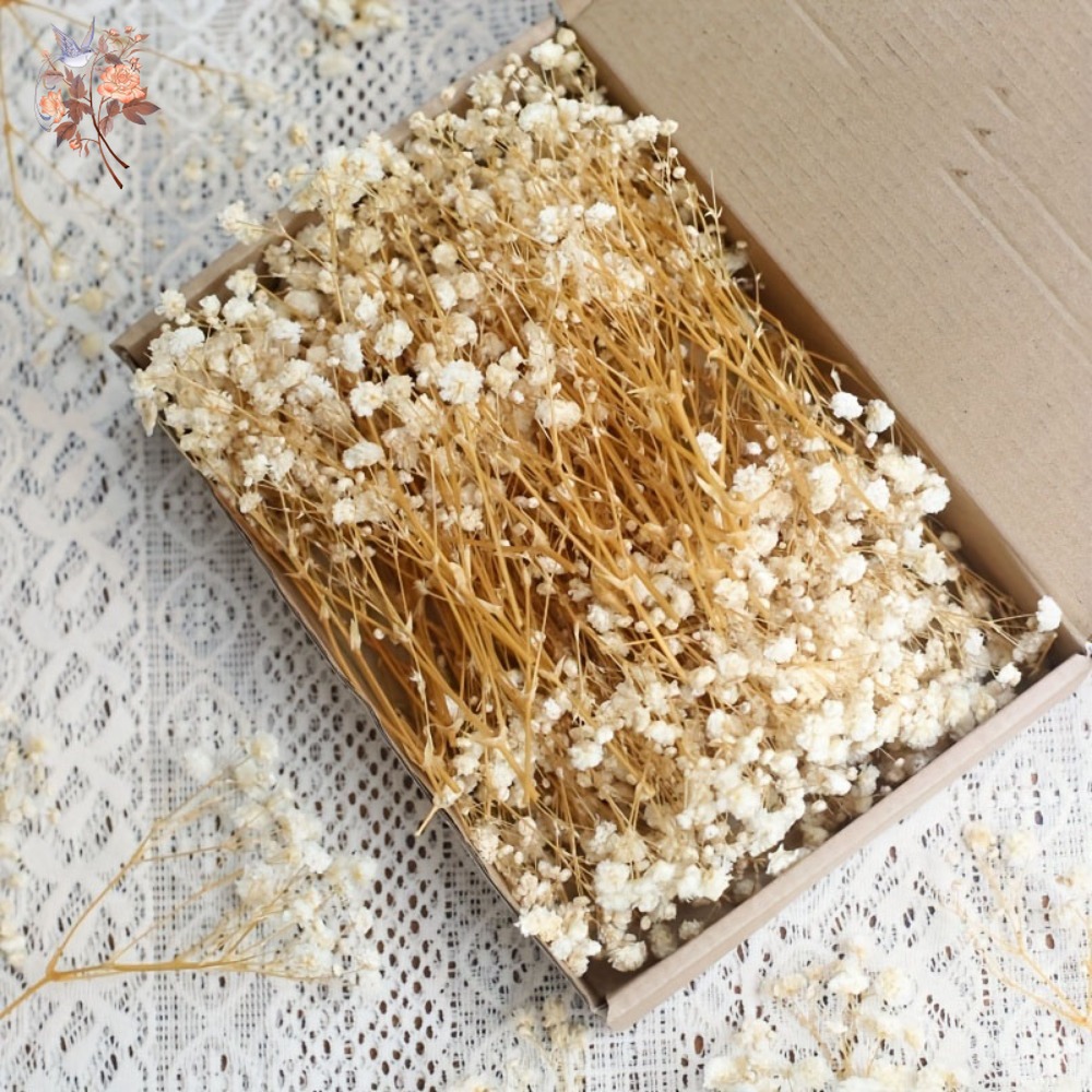 100 szt. Mini Suszone Kwiaty G – Craft Embellishment recenzja i cena